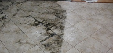 ile & Grout Cleaning
